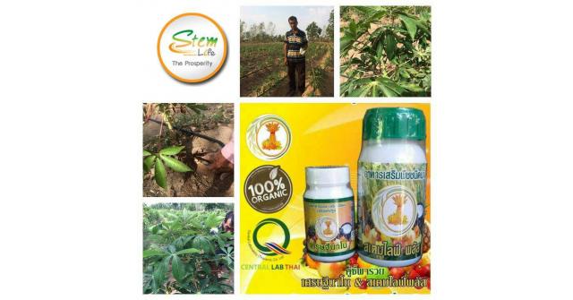 เศรษฐีนาโน คู่ซี้พารวย ประสบการณ์ผู้ใช้จริง