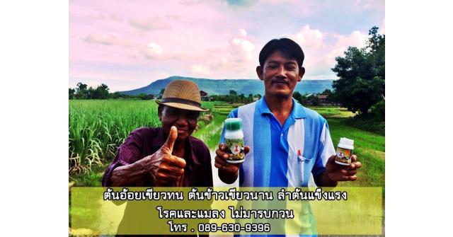 เศรษฐีนาโน คู่ซี้พารวยเปิดตลาด จ. ชัยภูมิ