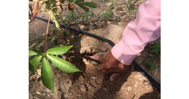 เศรษฐีนาโน คู่ซี้พารวย ประสบการณ์ผู้ใช้จริง