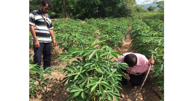 เศรษฐีนาโน คู่ซี้พารวย ประสบการณ์ผู้ใช้จริง