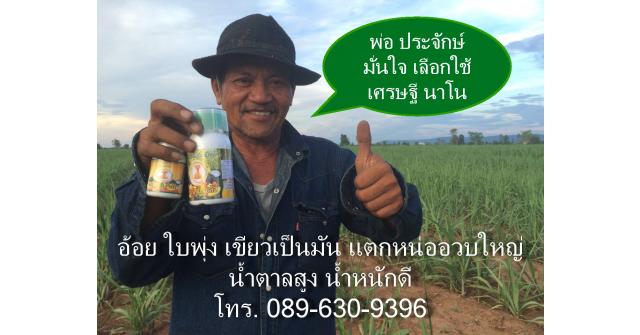 เศรษฐีนาโน คู่ซี้พารวยเปิดตลาด จ. ชัยภูมิ