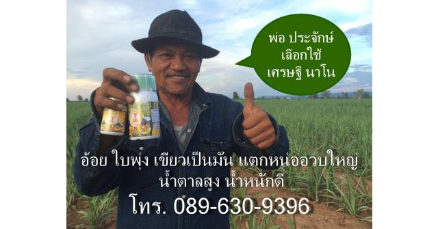 เศรษฐีนาโน คู่ซี้พารวยเปิดตลาด จ. ชัยภูมิ