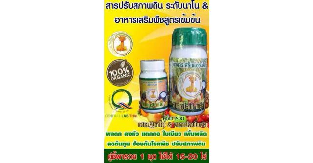 เศรษฐีนาโน คู่ซี้พารวยเปิดตลาด จ. ชัยภูมิ