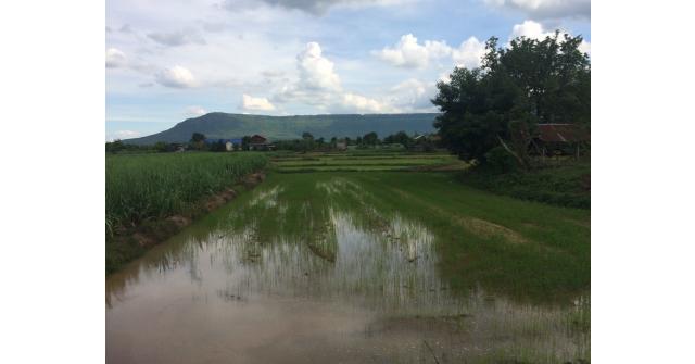 เศรษฐีนาโน คู่ซี้พารวยเปิดตลาด จ. ชัยภูมิ